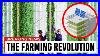 How_Vertical_Farming_Works_And_How_It_S_Changing_Everything_01_rohd